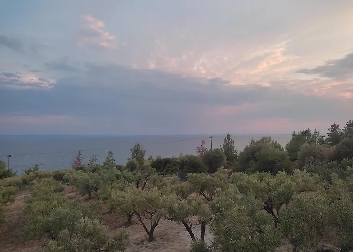 度假居 Enelia Vatopédhion